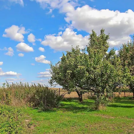 Holiday home Hoffelde